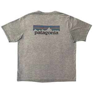 Patagonia Capilene Cool Daily Tee Shirt Size Large Grey Logo UPF 50 Heathered